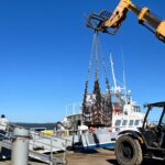 Ocean Quest: Maritime Supplies and Logistics Services