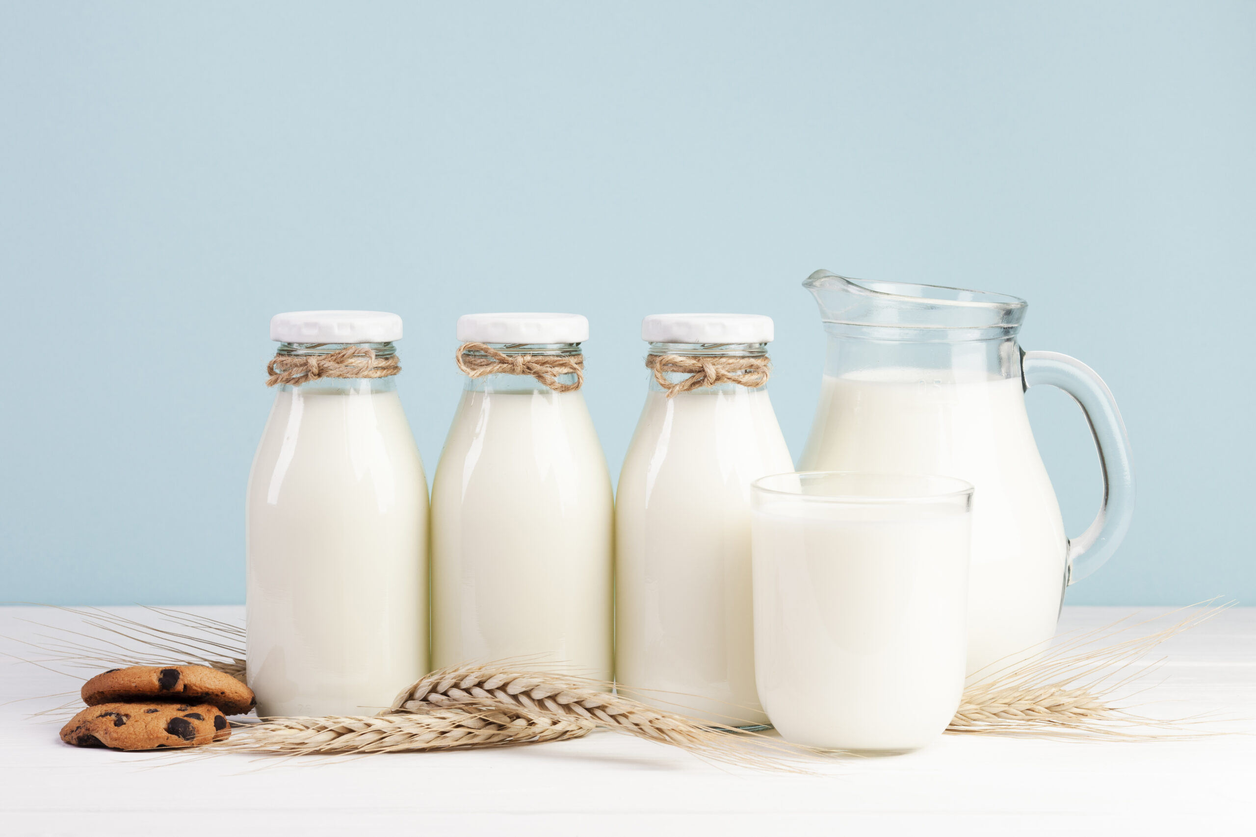 OQSS Milk Catagory