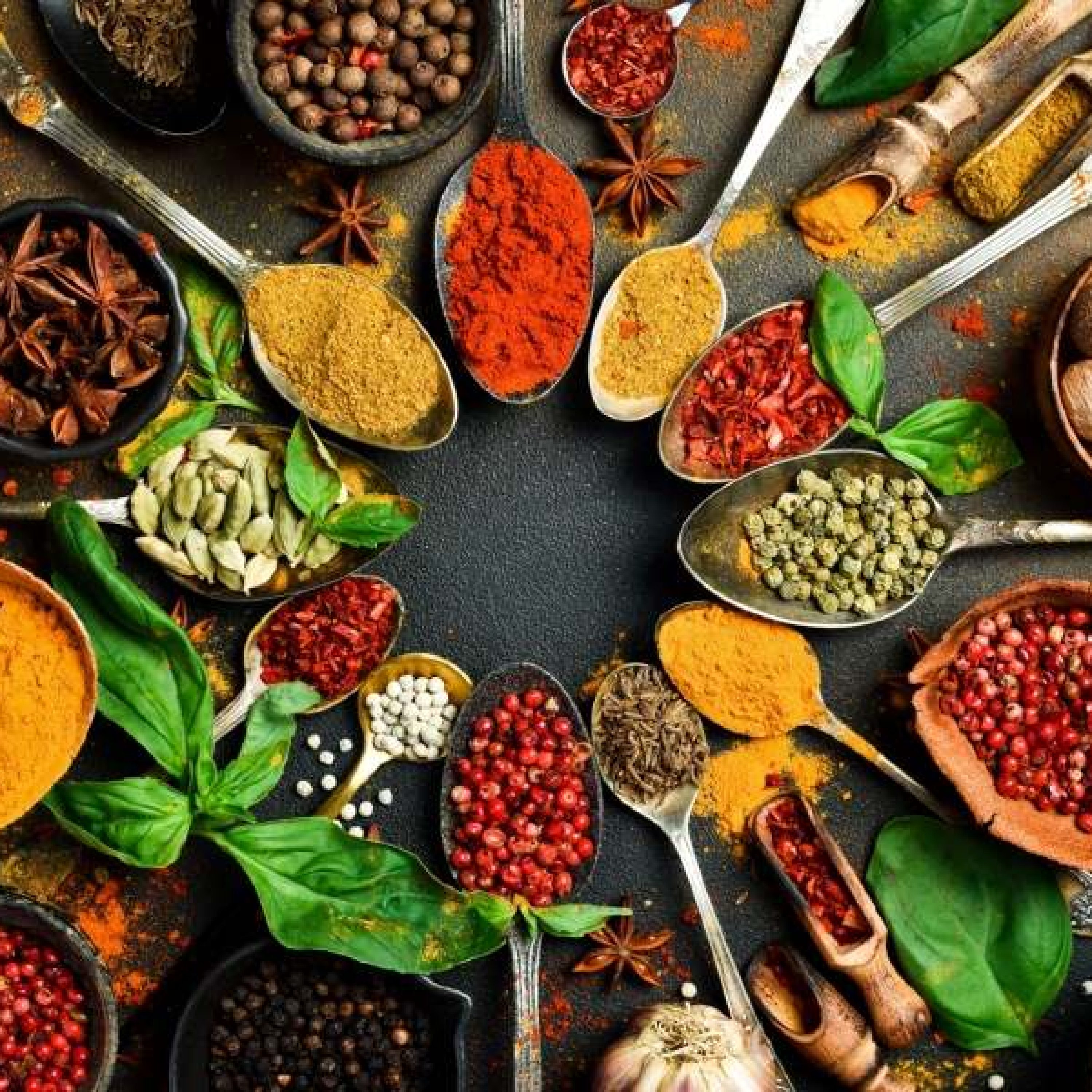 Herbs Herbs